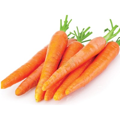 Морковь молодая 1 кг - купить в Березничке