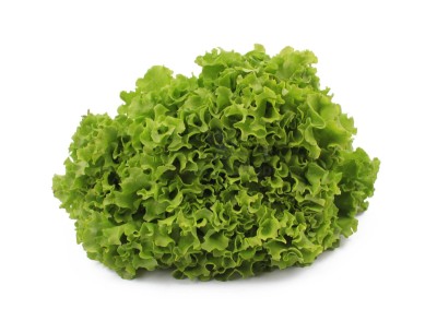 Салат айсберг 300 г - купить в Березничке