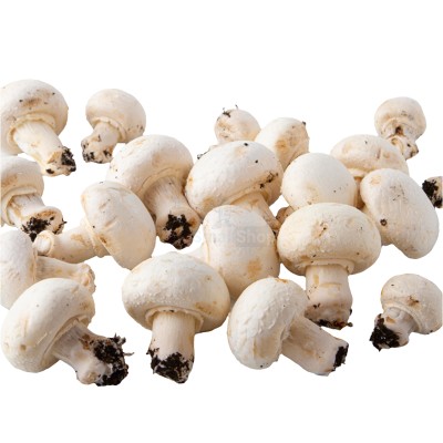 Шампиньоны свежие 500 г - купить в Березничке